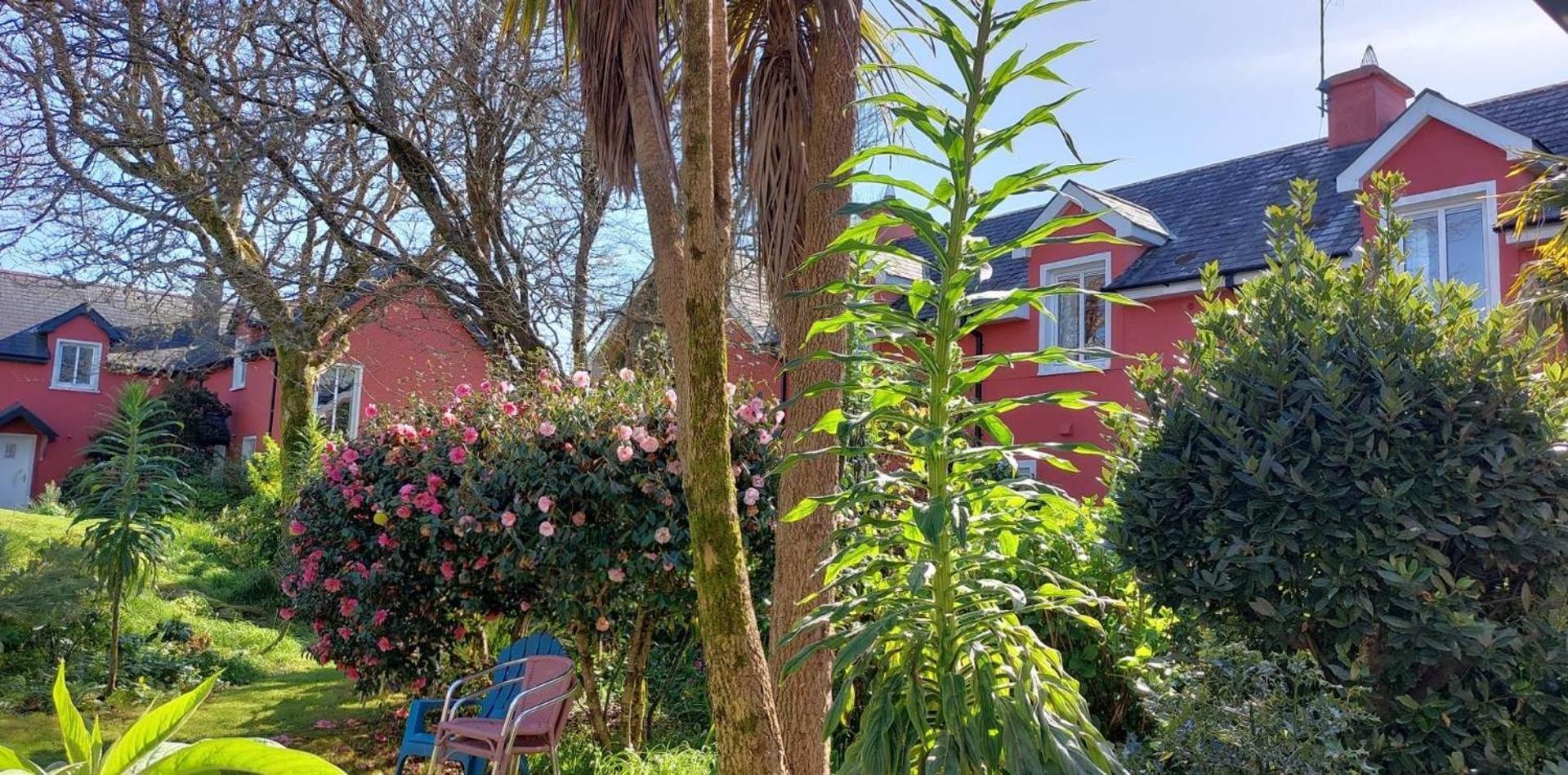 Rolfs Country House Baltimore Dış mekan fotoğraf